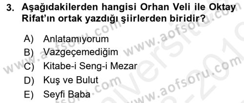 Cumhuriyet Dönemi Türk Şiiri Dersi 2018 - 2019 Yılı (Final) Dönem Sonu Sınavı 3. Soru