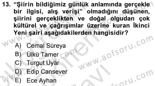 Cumhuriyet Dönemi Türk Şiiri Dersi 2019 - 2020 Yılı (Final) Dönem Sonu Sınav Soruları 13. Soru
