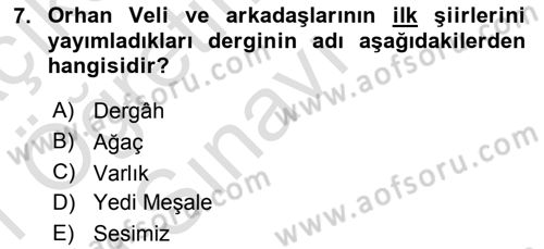 Cumhuriyet Dönemi Türk Şiiri Dersi 2020 - 2021 Yılı Yaz Okulu Sınav Soruları 7. Soru