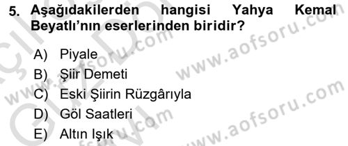 Cumhuriyet Dönemi Türk Şiiri Dersi 2021 - 2022 Yılı (Vize) Ara Sınav Soruları 5. Soru