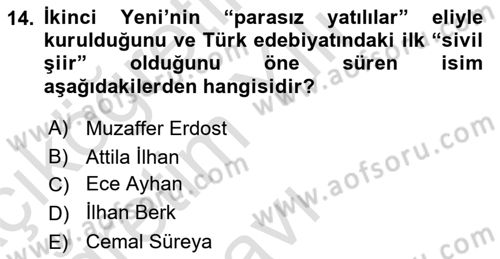 Cumhuriyet Dönemi Türk Şiiri Dersi 2021 - 2022 Yılı Yaz Okulu Sınav Soruları 14. Soru