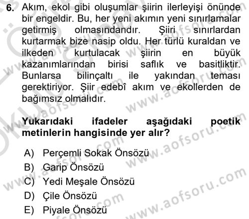 Cumhuriyet Dönemi Türk Şiiri Dersi 2021 - 2022 Yılı Yaz Okulu Sınav Soruları 6. Soru