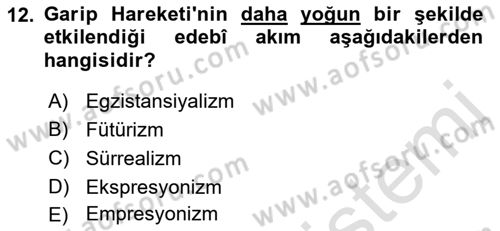 Cumhuriyet Dönemi Türk Şiiri Dersi 2022 - 2023 Yılı (Vize) Ara Sınav Soruları 12. Soru
