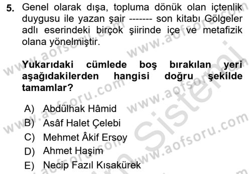 Cumhuriyet Dönemi Türk Şiiri Dersi 2022 - 2023 Yılı (Vize) Ara Sınav Soruları 5. Soru