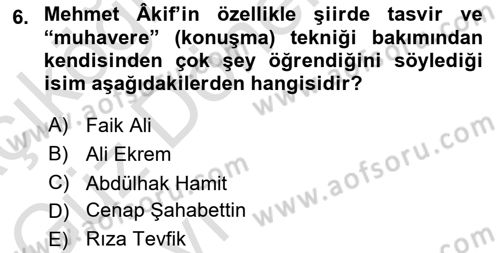 Cumhuriyet Dönemi Türk Şiiri Dersi 2022 - 2023 Yılı (Vize) Ara Sınav Soruları 6. Soru