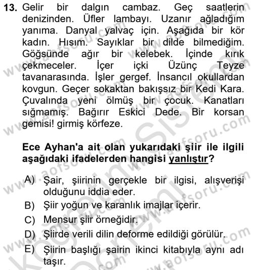 Cumhuriyet Dönemi Türk Şiiri Dersi 2022 - 2023 Yılı (Final) Dönem Sonu Sınav Soruları 13. Soru