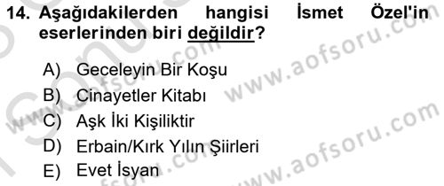 Cumhuriyet Dönemi Türk Şiiri Dersi 2022 - 2023 Yılı (Final) Dönem Sonu Sınav Soruları 14. Soru