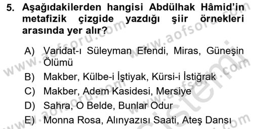 Cumhuriyet Dönemi Türk Şiiri Dersi 2022 - 2023 Yılı (Final) Dönem Sonu Sınav Soruları 5. Soru
