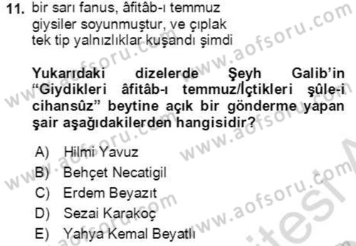 Cumhuriyet Dönemi Türk Şiiri Dersi 2022 - 2023 Yılı Yaz Okulu Sınav Soruları 11. Soru