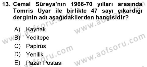 Cumhuriyet Dönemi Türk Şiiri Dersi 2023 - 2024 Yılı Yaz Okulu Sınav Soruları 13. Soru