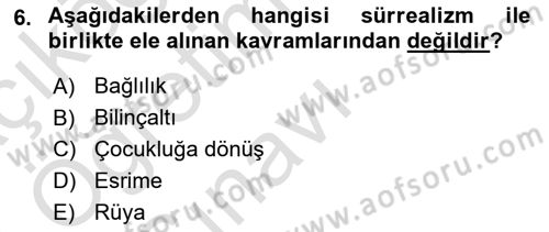 Cumhuriyet Dönemi Türk Şiiri Dersi 2023 - 2024 Yılı Yaz Okulu Sınav Soruları 6. Soru