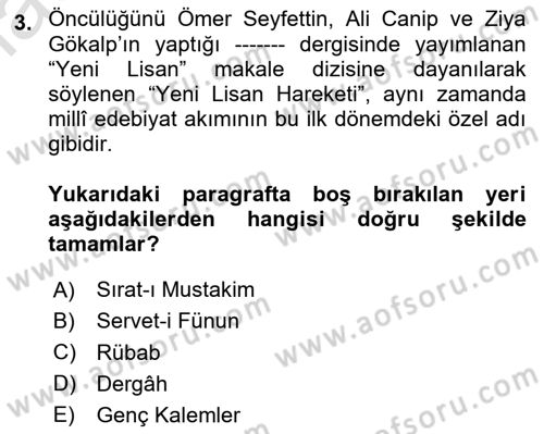 Cumhuriyet Dönemi Türk Şiiri Dersi 2024 - 2025 Yılı (Vize) Ara Sınav Soruları 3. Soru