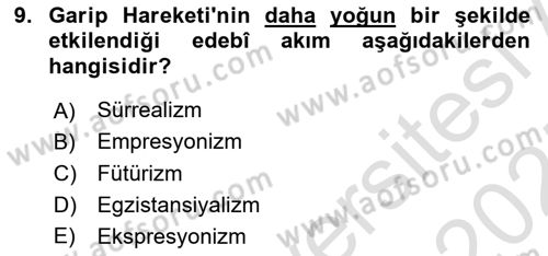 Cumhuriyet Dönemi Türk Şiiri Dersi 2024 - 2025 Yılı (Vize) Ara Sınav Soruları 9. Soru