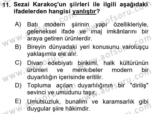 Cumhuriyet Dönemi Türk Şiiri Dersi 2024 - 2025 Yılı (Final) Dönem Sonu Sınav Soruları 11. Soru
