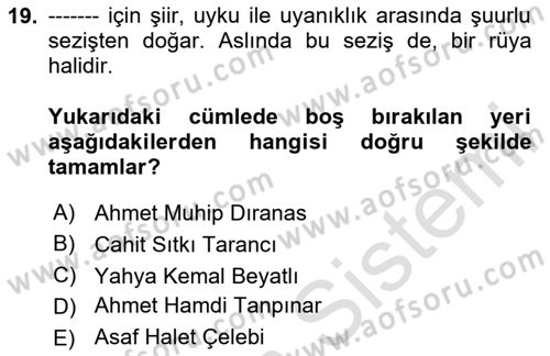 Cumhuriyet Dönemi Türk Şiiri Dersi 2024 - 2025 Yılı (Final) Dönem Sonu Sınav Soruları 19. Soru