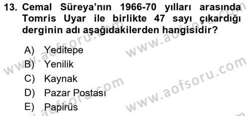 Cumhuriyet Dönemi Türk Şiiri Dersi 2024 - 2025 Yılı Yaz Okulu Sınav Soruları 13. Soru