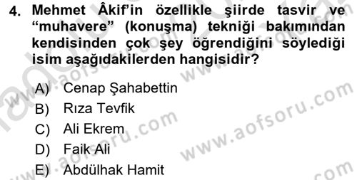 Cumhuriyet Dönemi Türk Şiiri Dersi 2024 - 2025 Yılı Yaz Okulu Sınav Soruları 4. Soru