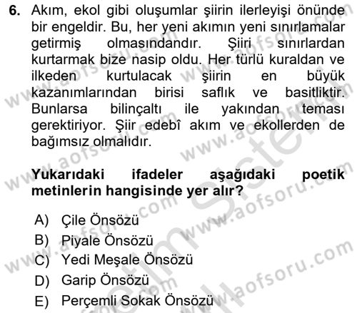 Cumhuriyet Dönemi Türk Şiiri Dersi 2024 - 2025 Yılı Yaz Okulu Sınav Soruları 6. Soru