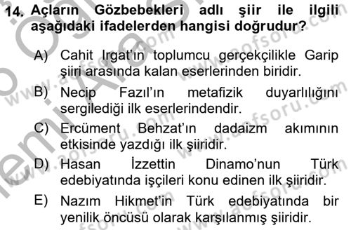 Cumhuriyet Dönemi Türk Şiiri Dersi 2025 - 2026 Yılı (Vize) Ara Sınav Soruları 14. Soru