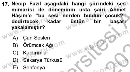 Cumhuriyet Dönemi Türk Şiiri Dersi 2025 - 2026 Yılı (Vize) Ara Sınav Soruları 17. Soru