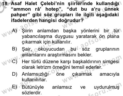 Cumhuriyet Dönemi Türk Şiiri Dersi 2025 - 2026 Yılı (Vize) Ara Sınav Soruları 18. Soru