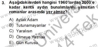 Çağdaş Türk Romanı Dersi 2013 - 2014 Yılı Tek Ders Sınav Soruları 3. Soru