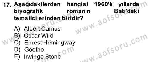 Çağdaş Türk Romanı Dersi 2014 - 2015 Yılı Tek Ders Sınav Soruları 17. Soru