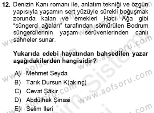 Çağdaş Türk Romanı Dersi 2015 - 2016 Yılı (Vize) Ara Sınav Soruları 12. Soru