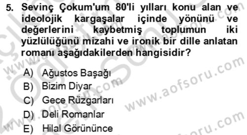 Çağdaş Türk Romanı Dersi 2021 - 2022 Yılı (Final) Dönem Sonu Sınav Soruları 5. Soru