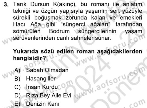 Çağdaş Türk Romanı Dersi 2024 - 2025 Yılı (Final) Dönem Sonu Sınav Soruları 3. Soru