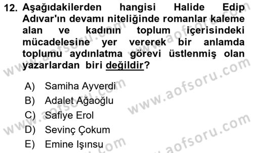 Çağdaş Türk Romanı Dersi 2024 - 2025 Yılı Yaz Okulu Sınav Soruları 12. Soru