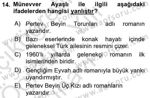 Çağdaş Türk Romanı Dersi 2024 - 2025 Yılı Yaz Okulu Sınav Soruları 14. Soru