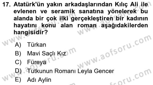 Çağdaş Türk Romanı Dersi 2024 - 2025 Yılı Yaz Okulu Sınav Soruları 17. Soru