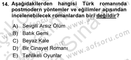 Çağdaş Türk Romanı Dersi 2025 - 2026 Yılı (Vize) Ara Sınav Soruları 14. Soru
