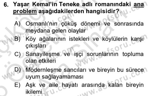 Çağdaş Türk Romanı Dersi 2025 - 2026 Yılı (Vize) Ara Sınav Soruları 6. Soru