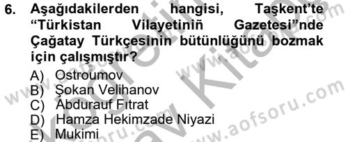 Çağdaş Türk Edebiyatları 1 Dersi Ara Sınavı Deneme Sınav Soruları 6. Soru
