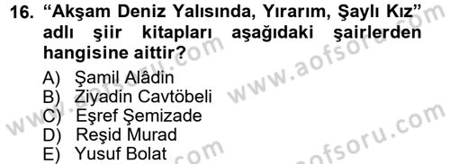 Çağdaş Türk Edebiyatları 1 Dersi 2012 - 2013 Yılı (Final) Dönem Sonu Sınav Soruları 16. Soru