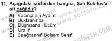 Çağdaş Türk Edebiyatları 1 Dersi 2012 - 2013 Yılı Tek Ders Sınav Soruları 11. Soru