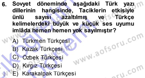 Çağdaş Türk Edebiyatları 1 Dersi Ara Sınavı Deneme Sınav Soruları 6. Soru
