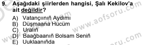 Çağdaş Türk Edebiyatları 1 Dersi 2013 - 2014 Yılı Tek Ders Sınav Soruları 9. Soru