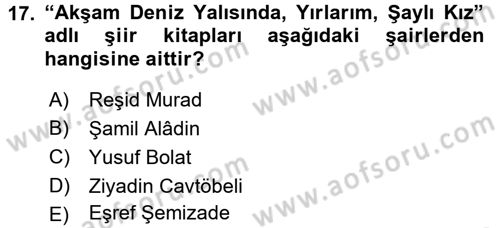 Çağdaş Türk Edebiyatları 1 Dersi 2015 - 2016 Yılı (Final) Dönem Sonu Sınav Soruları 17. Soru