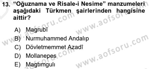 Çağdaş Türk Edebiyatları 1 Dersi 2015 - 2016 Yılı Tek Ders Sınav Soruları 13. Soru