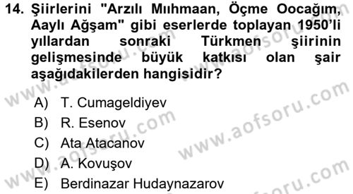 Çağdaş Türk Edebiyatları 1 Dersi 2015 - 2016 Yılı Tek Ders Sınav Soruları 14. Soru