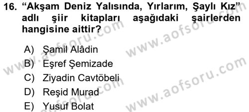 Çağdaş Türk Edebiyatları 1 Dersi 2016 - 2017 Yılı 3 Ders Sınav Soruları 16. Soru