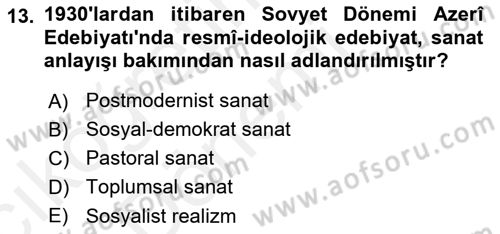 Çağdaş Türk Edebiyatları 1 Dersi Ara Sınavı Deneme Sınav Soruları 13. Soru