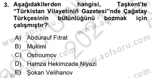 Çağdaş Türk Edebiyatları 1 Dersi Ara Sınavı Deneme Sınav Soruları 3. Soru