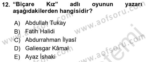 Çağdaş Türk Edebiyatları 1 Dersi 2021 - 2022 Yılı (Final) Dönem Sonu Sınav Soruları 12. Soru