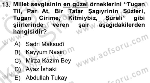Çağdaş Türk Edebiyatları 1 Dersi 2021 - 2022 Yılı Yaz Okulu Sınav Soruları 13. Soru