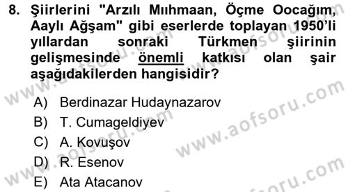 Çağdaş Türk Edebiyatları 1 Dersi 2021 - 2022 Yılı Yaz Okulu Sınav Soruları 8. Soru