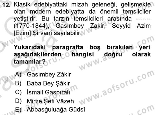 Çağdaş Türk Edebiyatları 1 Dersi Ara Sınavı Deneme Sınav Soruları 12. Soru